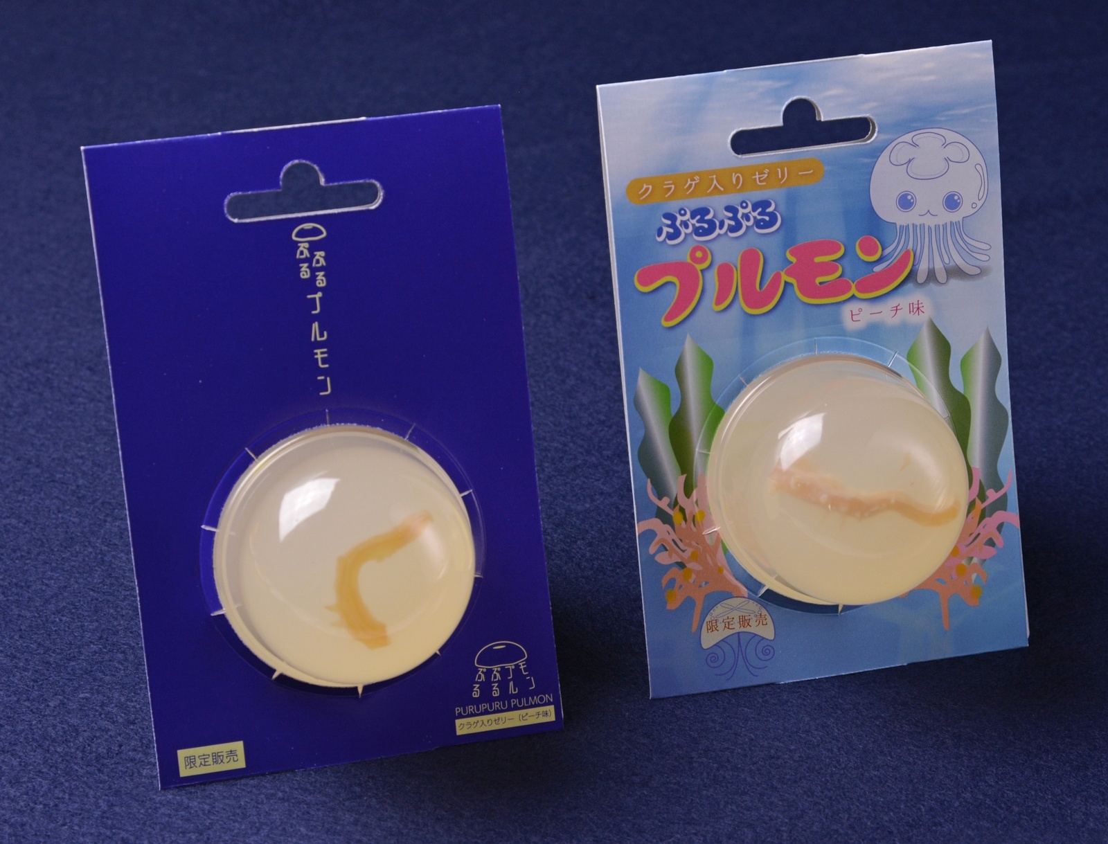 Whale Shark Patterned Ice Cream & Other Treats Inspired by Marine Creatures! 3