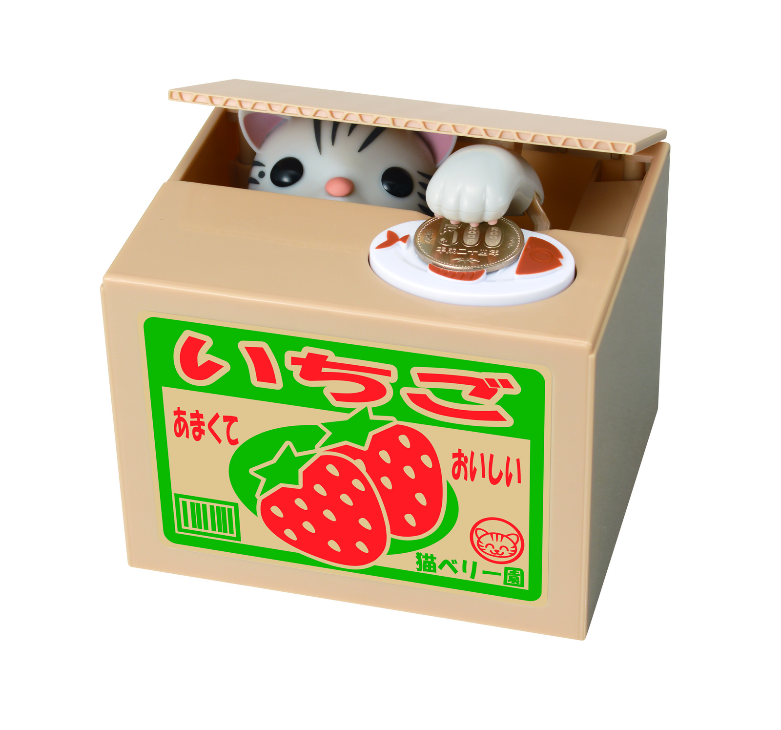 New Itazura Bank American Shorthair 2