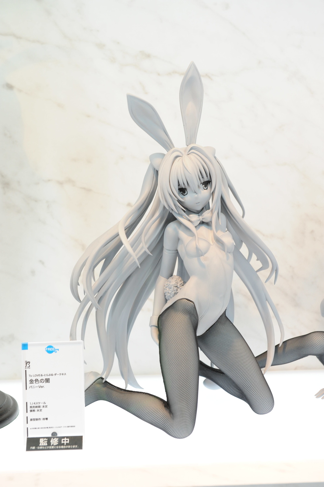 WonHobby Booth Report! 24-Hour Double Giveaway Commemorating Nendoroid 10th Anniversary & WonHobby Begins! 48