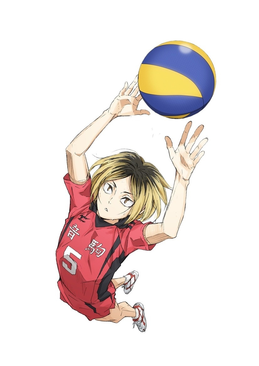 New Haikyu!! Reveals Visuals of Nekoma High Players!