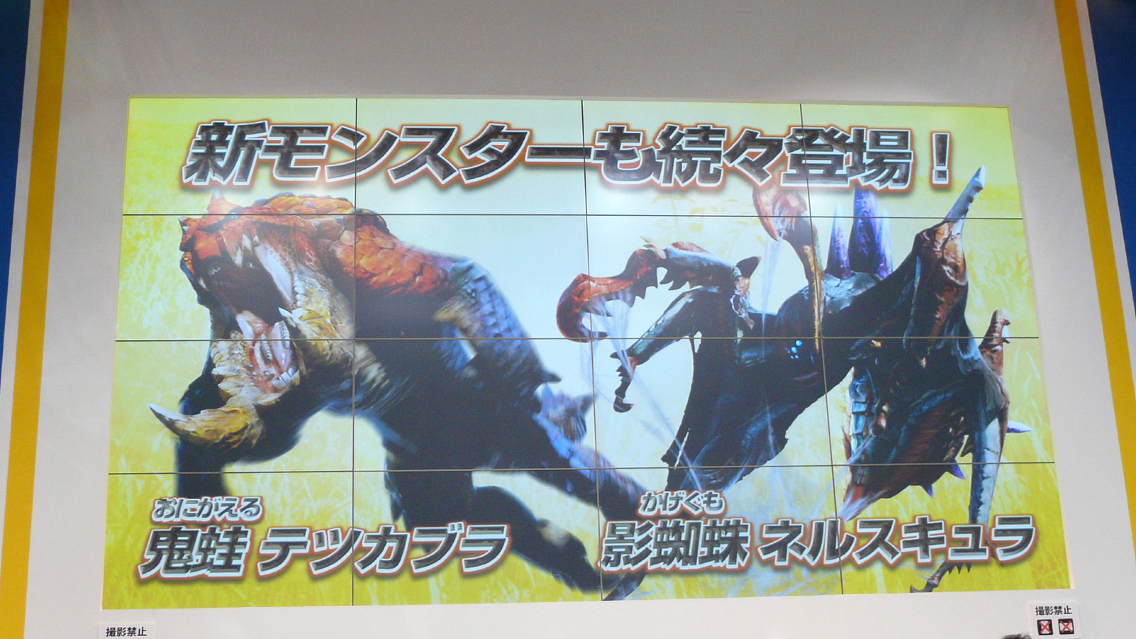 New Info on “Monster Hunter 3 (Tri) G HD Version” and “Ace Attorney 5” 12