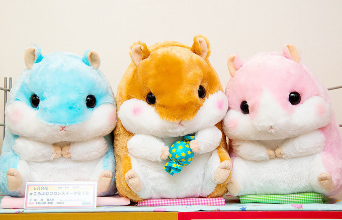 A New Lineup of Coroham Coron Products is Here!!