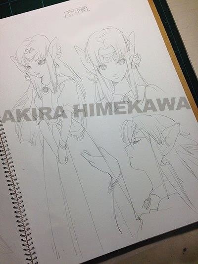 Manga Artist Akira Himekawa Teaches How to Draw Manga with Masterpiece The Legend of Zelda Vol. 3: Plot