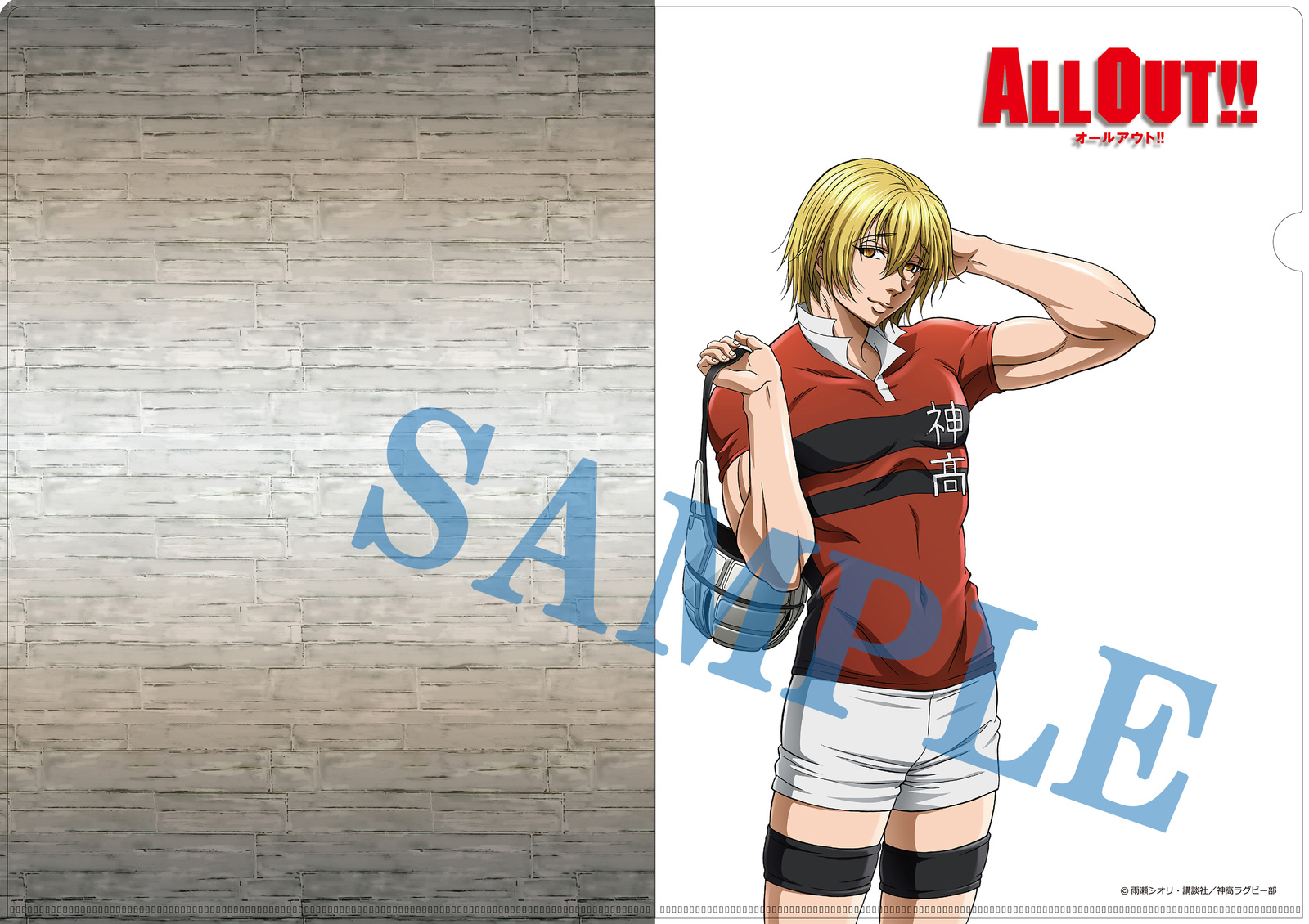 Sumiaki Iwashimizu A4 clear file 1
