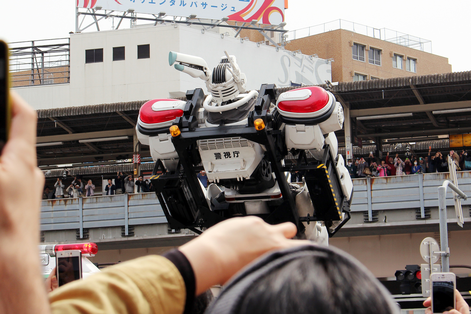 Picture by Boonie Boo 0