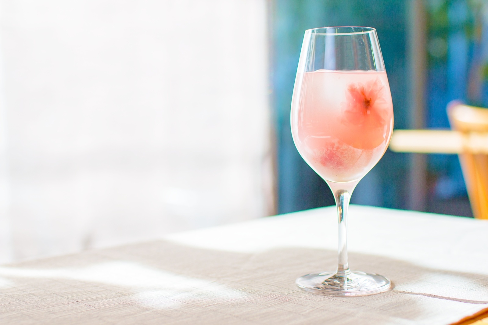 Enjoy Cherry Blossoms, Matcha Drinks & Sweets at Japan's Earliest Cherry Blossom Viewing! 2