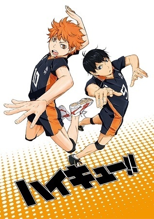 Seinen Volleyball Manga *Haikyū!!* Gets Anime Adaptation, Broadcast to Begin in April 2014