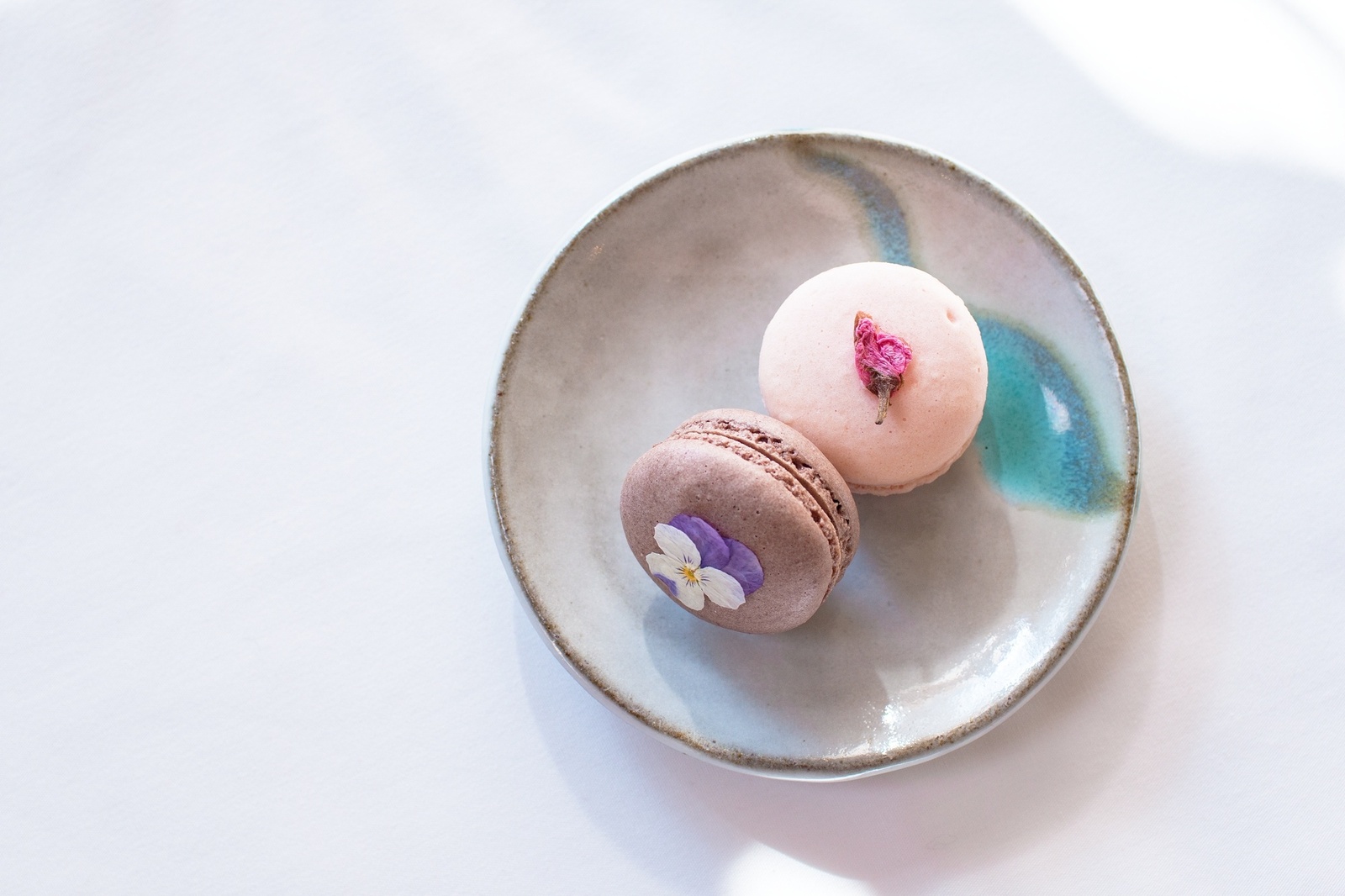 Enjoy Cherry Blossoms, Matcha Drinks & Sweets at Japan's Earliest Cherry Blossom Viewing! 6