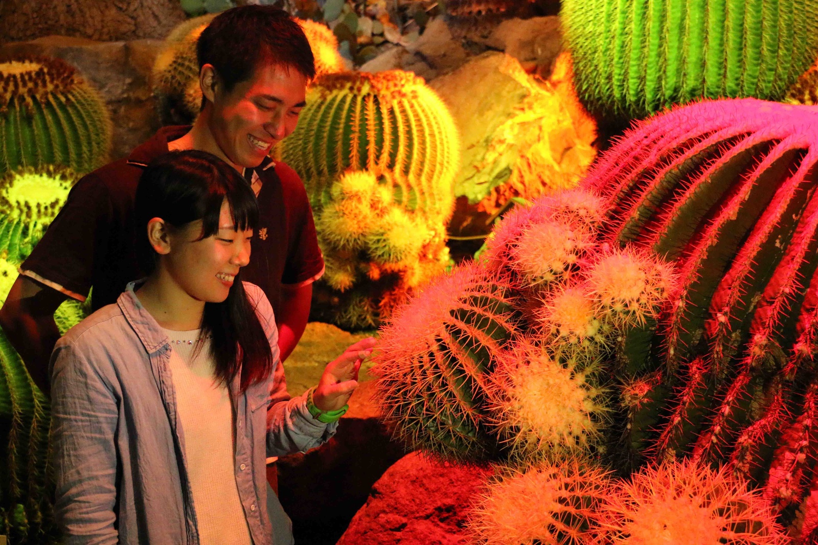 Greenhouse Light Up 3