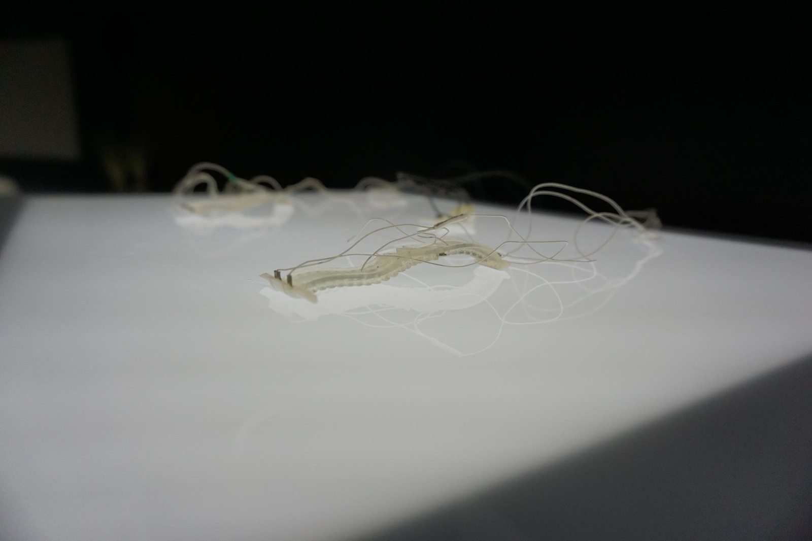 Japanese Robotics Engineer Inspired by Ghost in the Shell