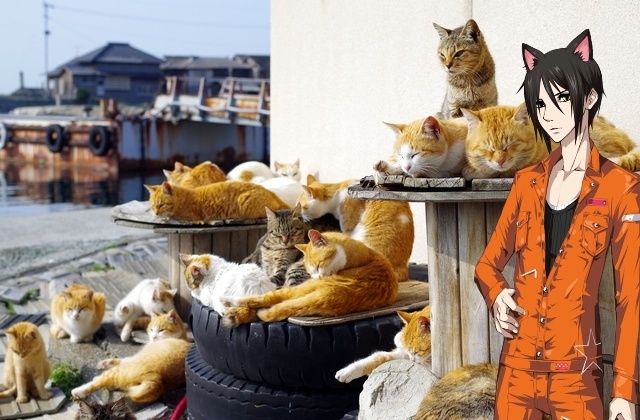 5 Heavenly Destinations in Japan for the Animal Lover [Ikemen Edition]