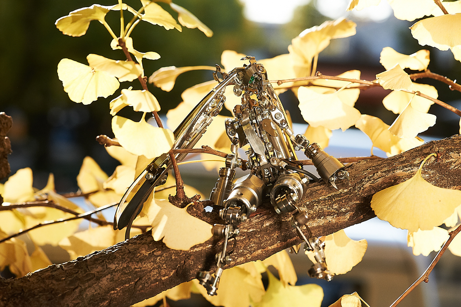 Daisuke Shimodaira - A Master in the World of Magnificent Junk Art [1/2] 5