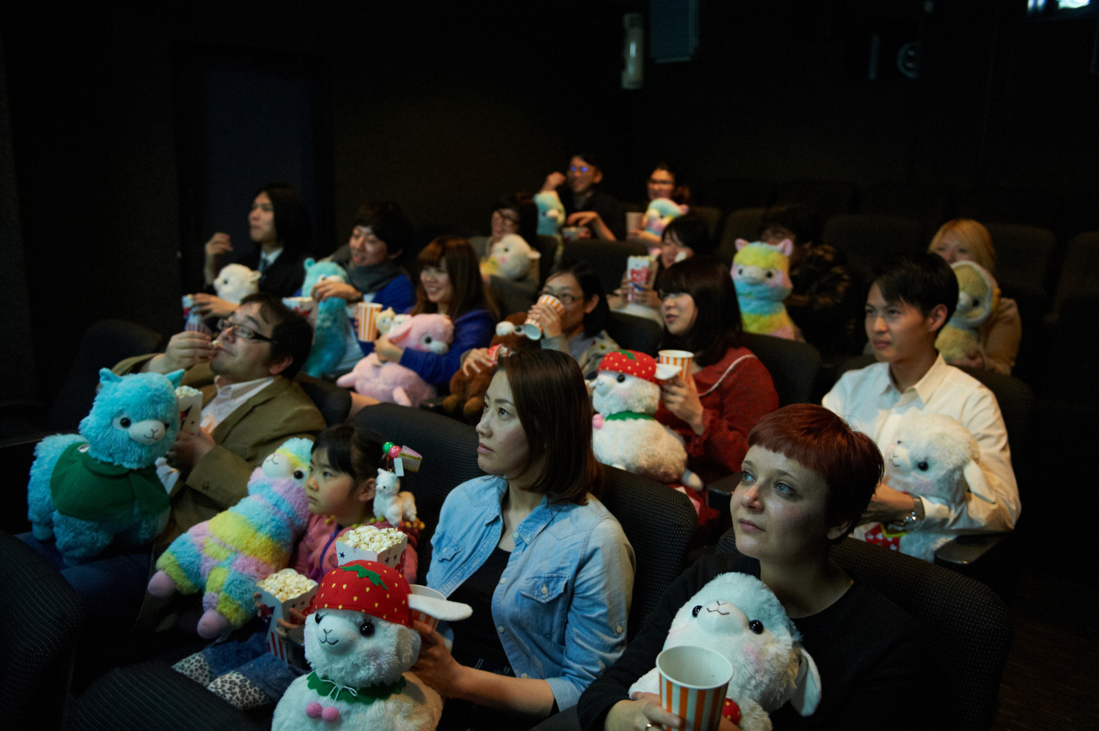 ‘Alpacasso: The Origin’ Receives Rave Reviews! Sequel Rumors Also Fly 0