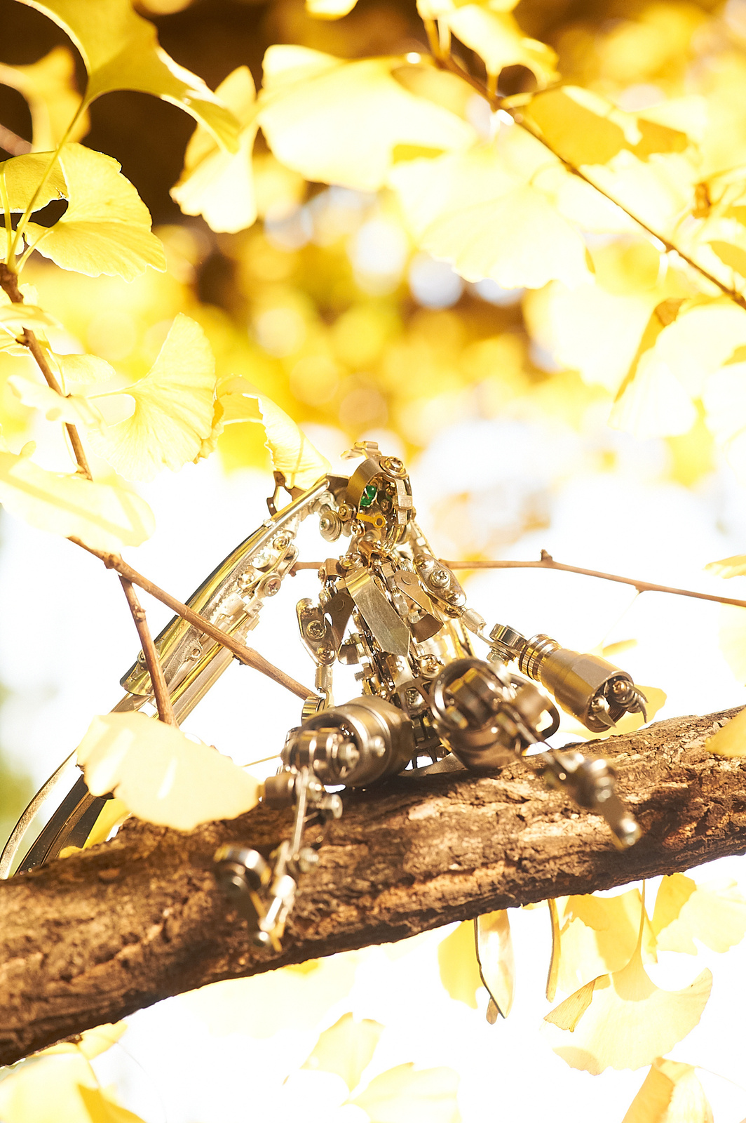 Daisuke Shimodaira - A Master in the World of Magnificent Junk Art [1/2] 4