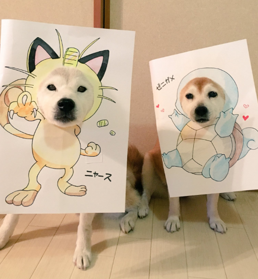These Shiba Inu are Cosplay Goals!