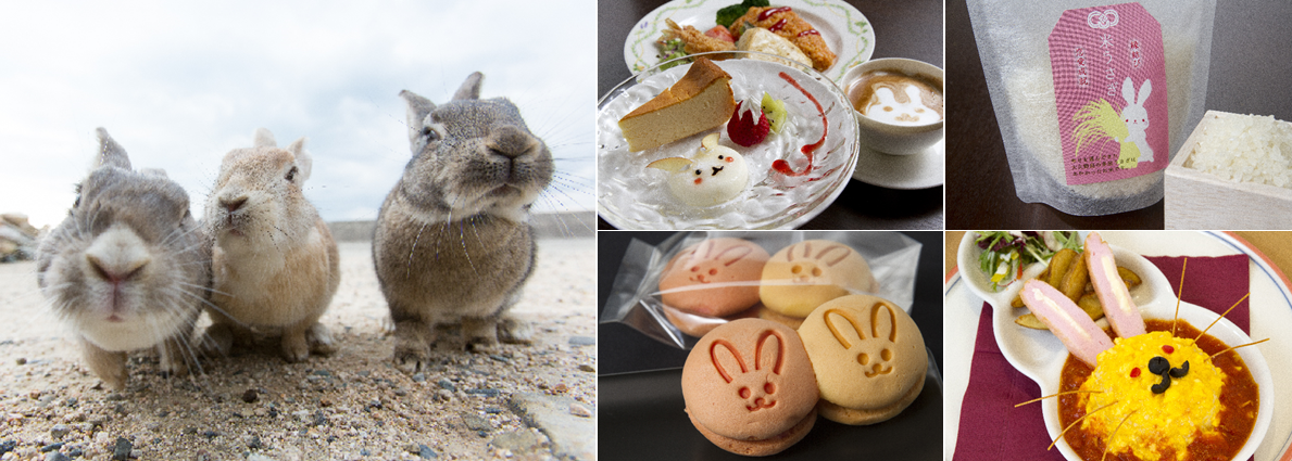 Visit Hiroshima's Rabbit Island For Cute Meals, Sweets, Bunny Goods and More!