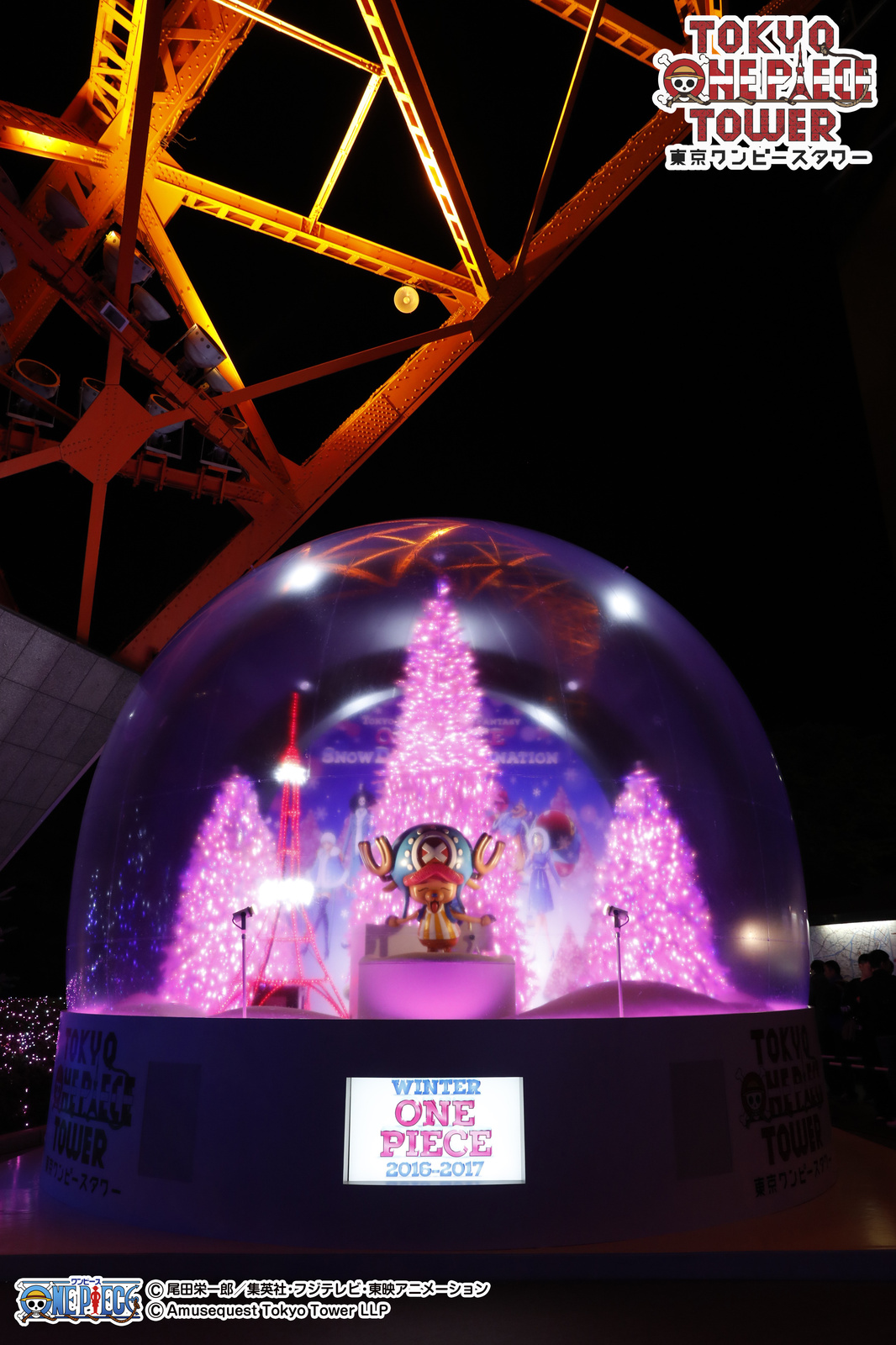 One Piece Snowdome Illumination Finally Lights Up! 2
