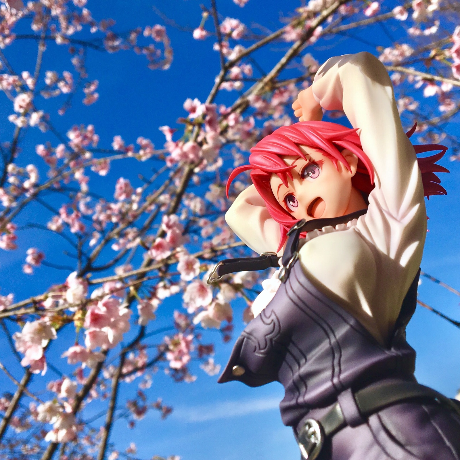 All photos in this article were taken with an iPhone 6 and edited in the Photos app. 2