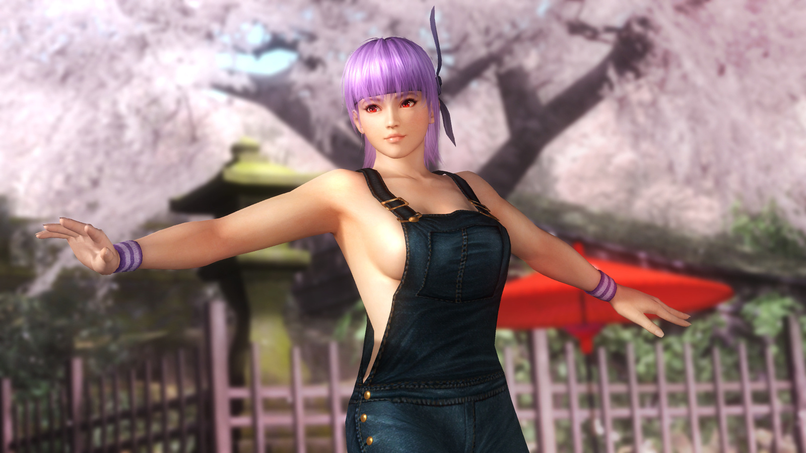 Special Pack 2 for Ayane 1