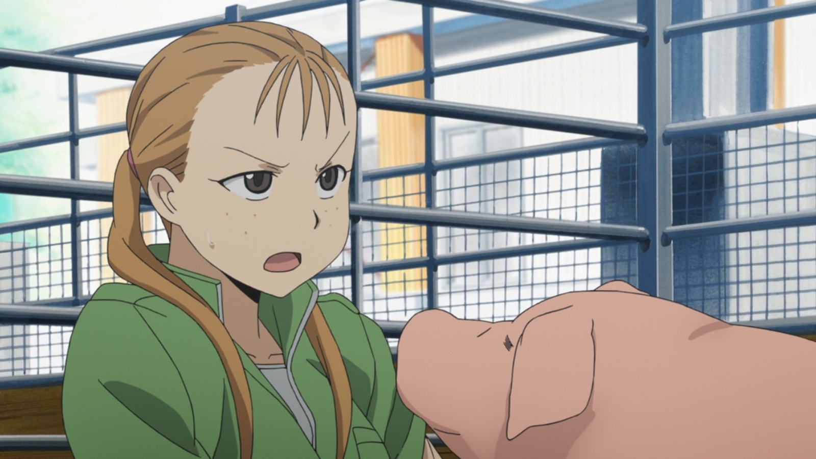 *Silver Spoon* Episode 10 Recap: “Hachiken Says Goodbye to Pork Bowl” 0