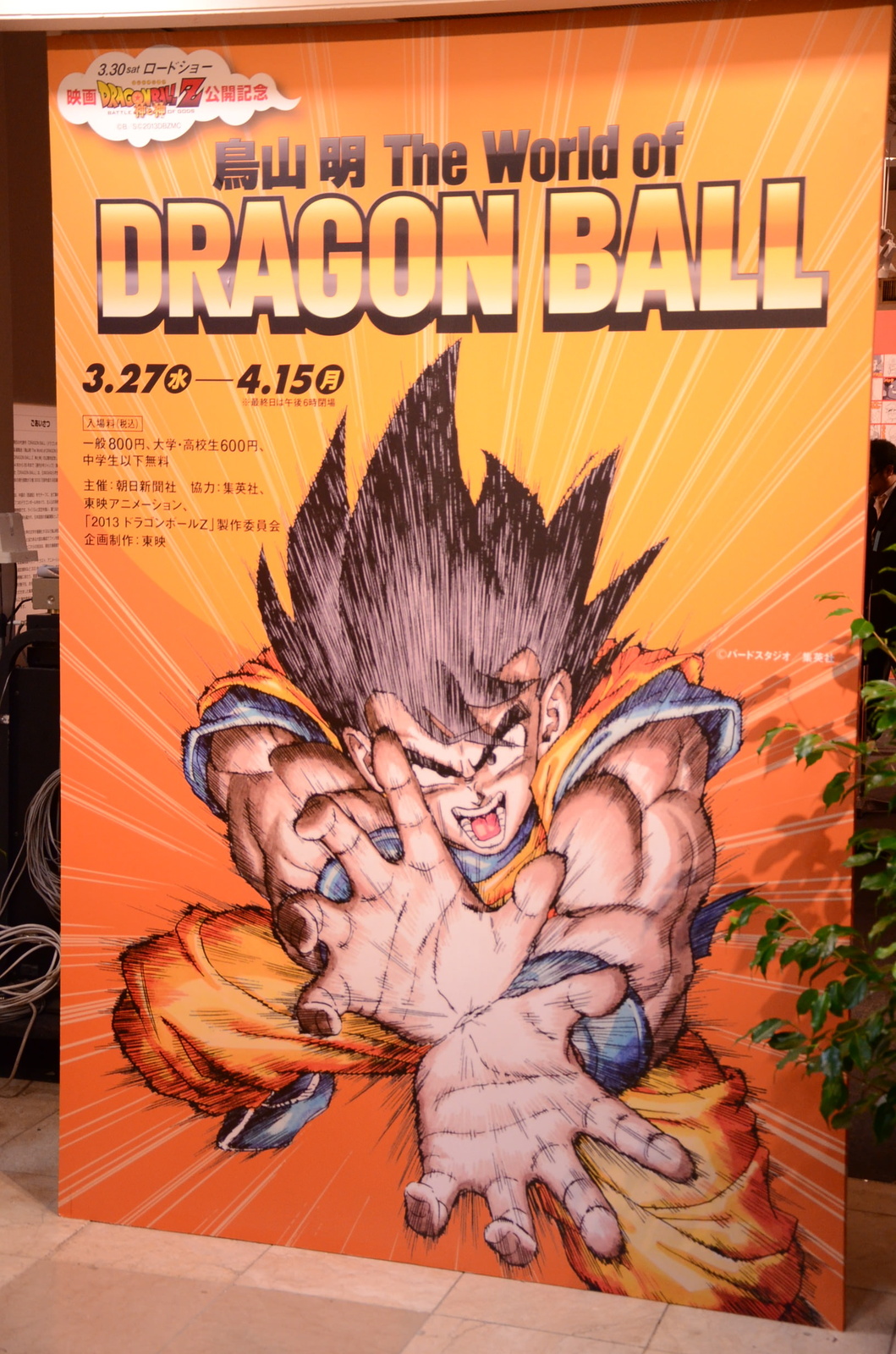 © Bird Studio/Shueisha Inc. 0