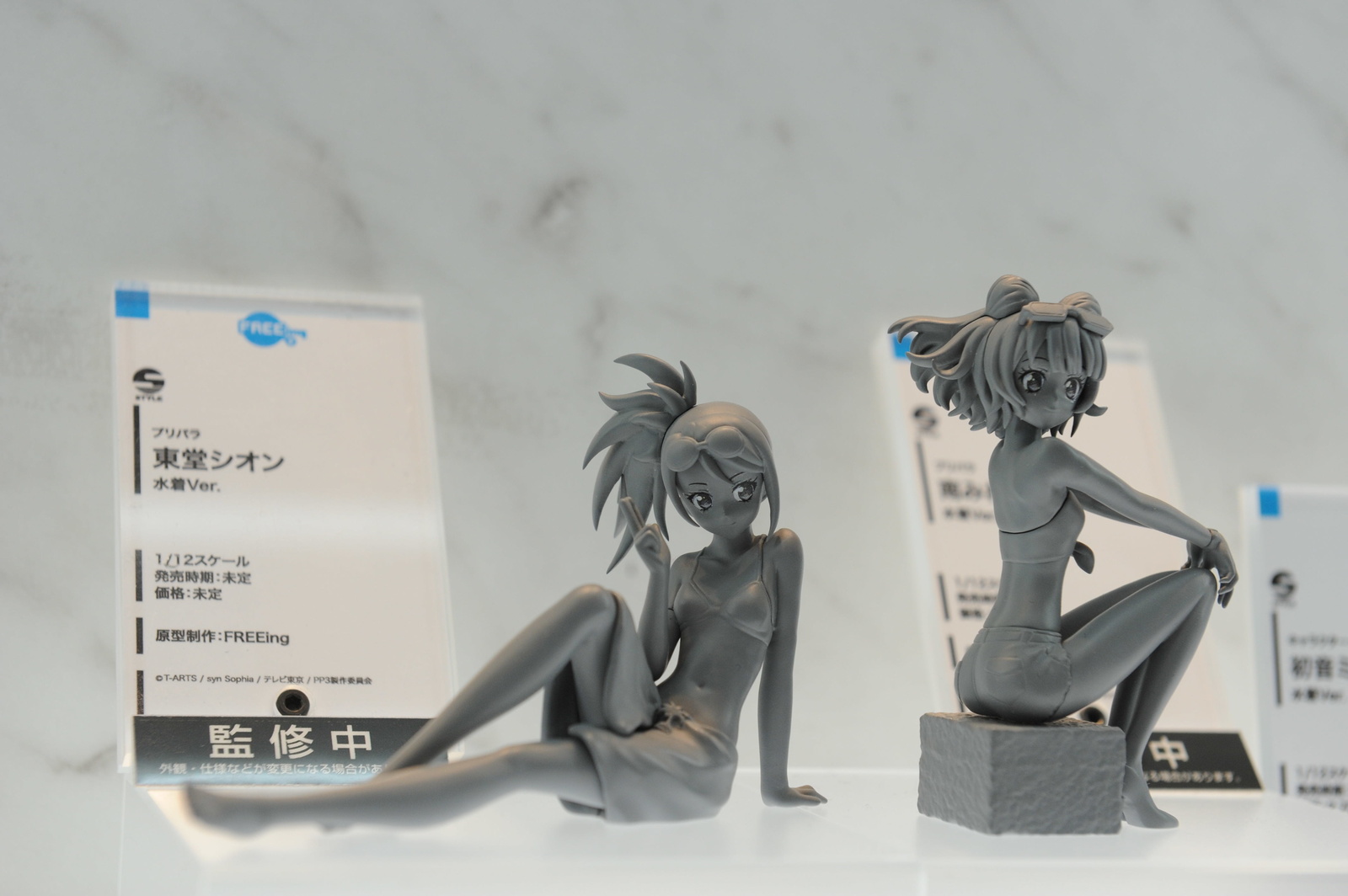 WonHobby Booth Report! 24-Hour Double Giveaway Commemorating Nendoroid 10th Anniversary & WonHobby Begins! 76