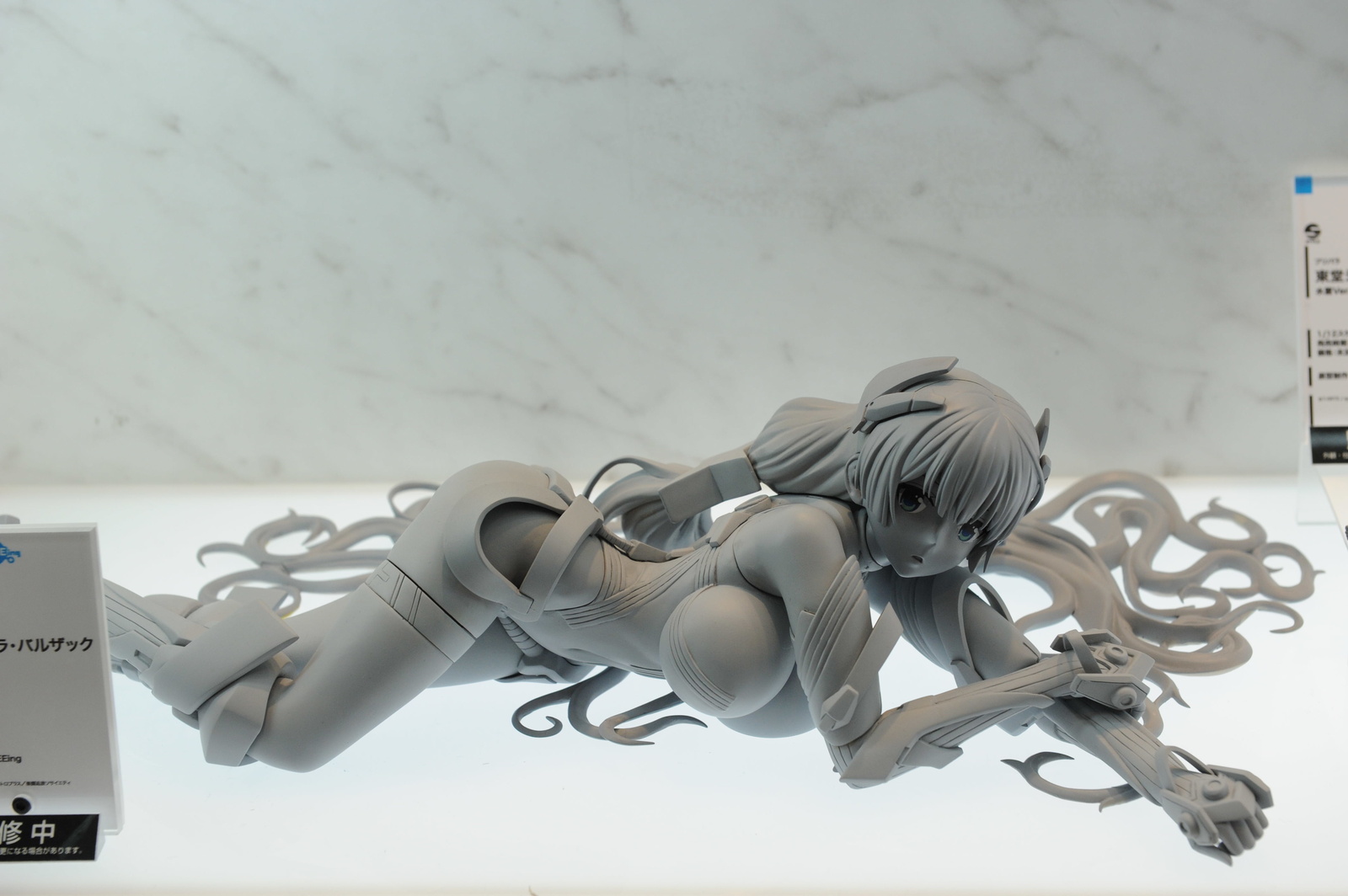 WonHobby Booth Report! 24-Hour Double Giveaway Commemorating Nendoroid 10th Anniversary & WonHobby Begins! 85