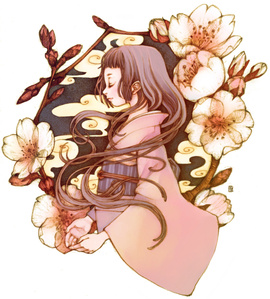 cherry blossoms