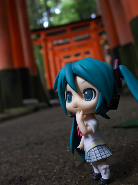 In Hushimi-Inari Taisha Shrine. 