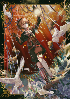 Lost at the Carnival