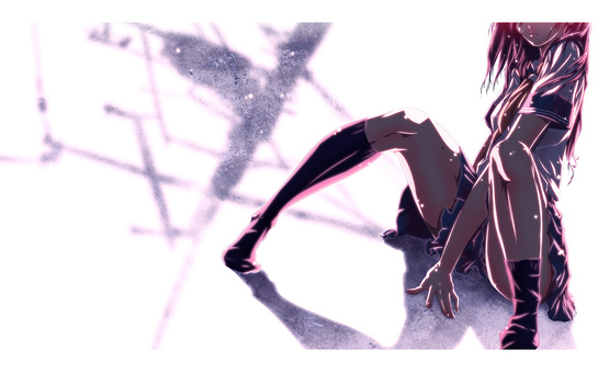 蚊/Mosquito